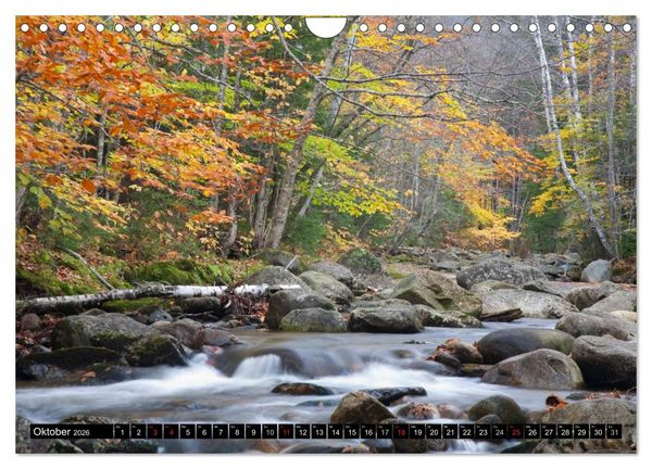 Produktbild: Blickpunkte der USA (Wandkalender 2026 DIN A4 quer), CALVENDO Monatskalender