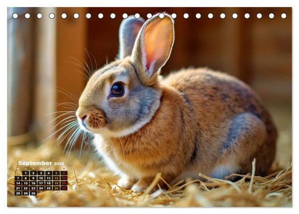 Produktbild: Kuschelige Kaninchen (Tischkalender 2026 DIN A5 quer), CALVENDO Monatskalender