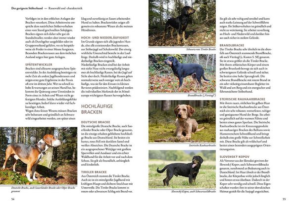 Produktbild: Jagen mit St&ouml;berhunden