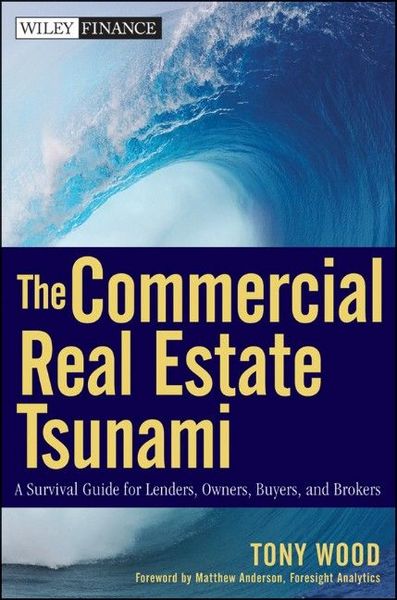 Produktbild: The Commercial Real Estate Tsunami