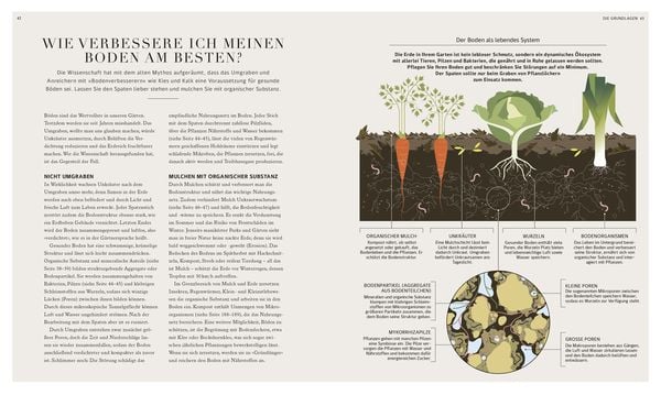 Produktbild: 100 Fragen und Antworten zum G&auml;rtnern