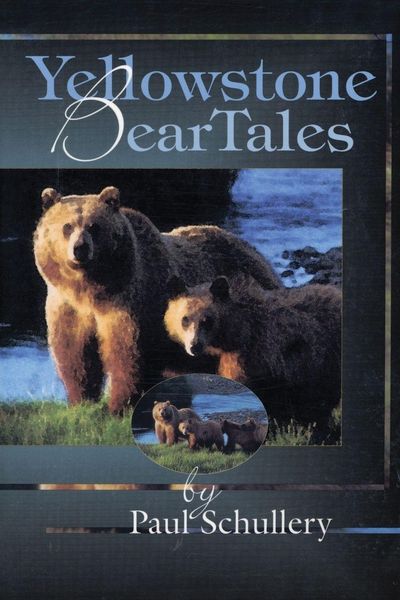 Produktbild: Yellowstone Bear Tales