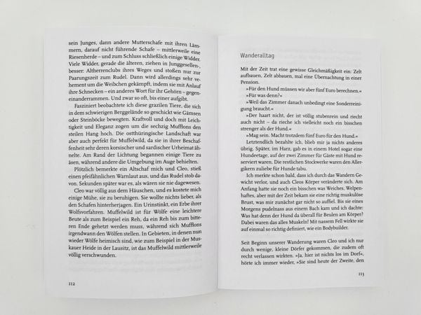 Produktbild: Ein deutscher Wandersommer