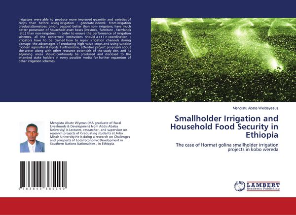 Produktbild: Smallholder Irrigation and Household Food Security in Ethiopia