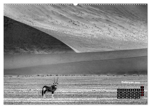 Produktbild: Namibia schwarzwei&szlig; (hochwertiger Premium Wandkalender 2026 DIN A2 quer), Kunstdruck in Hochglanz