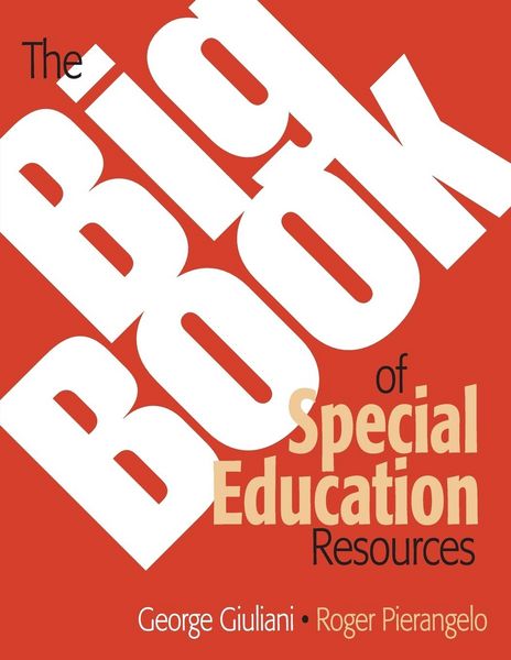 Produktbild: The Big Book of Special Education Resources