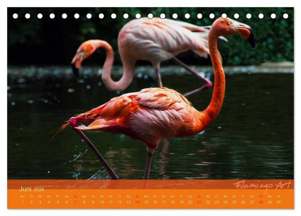 Produktbild: Flamingo Art 2026 (Tischkalender 2026 DIN A5 quer), CALVENDO Monatskalender