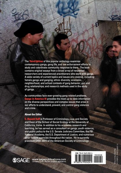 Produktbild: Gangs in America III