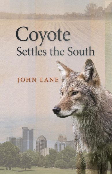 Produktbild: Coyote Settles the South
