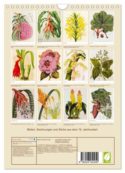 Produktbild: Bl&uuml;ten: Zeichnungen und Stiche aus dem 19. Jahrhundert (Wandkalender 2026 DIN A4 hoch), CALVENDO Monatskalender