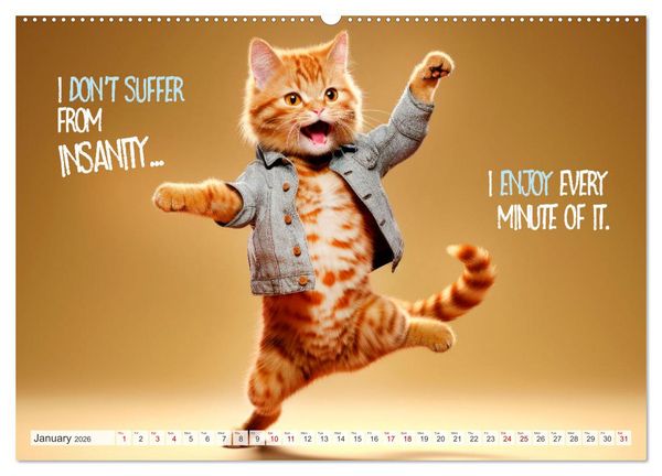 Produktbild: WITTY CATS Cool sayings (High Quality Premium Wall Calendar 2026 DIN A2 landscape),CALVENDO 12 Month Wall Calendar