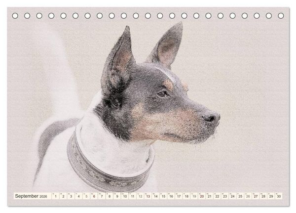 Produktbild: Bodeguero Andaluz 2026 (Tischkalender 2026 DIN A5 quer), CALVENDO Monatskalender