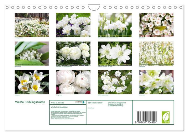 Produktbild: Wei&szlig;e Fr&uuml;hlingsbl&uuml;ten (Wandkalender 2026 DIN A4 quer), CALVENDO Monatskalender