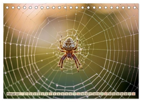 Produktbild: Spinnenaugen (Tischkalender 2027 DIN A5 quer), CALVENDO Monatskalender