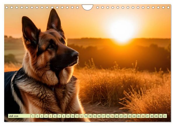 Produktbild: Deutscher Sch&auml;ferhund - Inbegriff der Treue (Wandkalender 2026 DIN A4 quer), CALVENDO Monatskalender