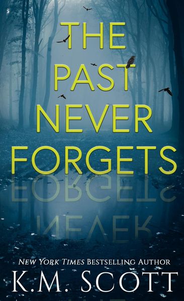 Produktbild: The Past Never Forgets