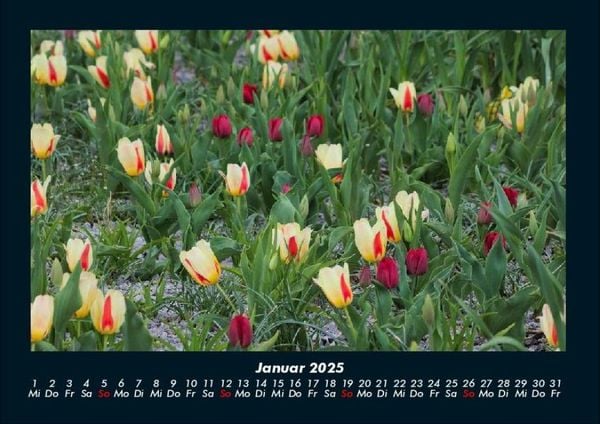 Produktbild: Blumenkalender 2025 Fotokalender DIN A4