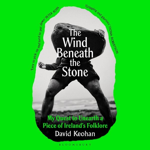 Produktbild: The Wind Beneath the Stone