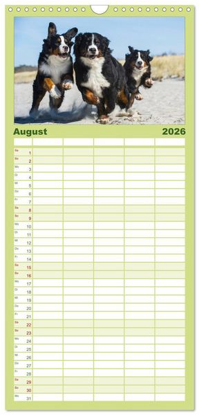 Produktbild: Familienplaner 2026 - Treuer Freund Berner Sennenhund mit 5 Spalten (Wandkalender, 21 x 45 cm) CALVENDO