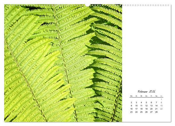 Produktbild: Blattkunst (hochwertiger Premium Wandkalender 2026 DIN A2 quer), Kunstdruck in Hochglanz