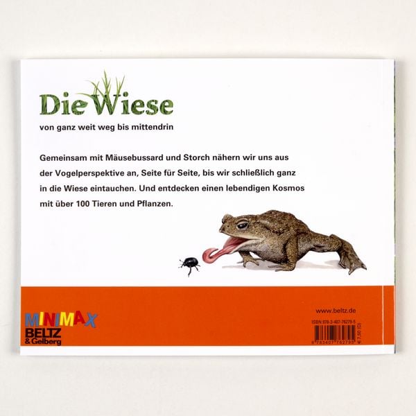 Die Wiese
