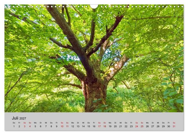 Produktbild: Biosph&auml;renreservat Schaalsee (Wandkalender 2027 DIN A3 quer), CALVENDO Monatskalender