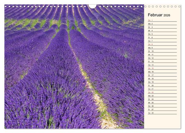 Produktbild: Lavendel (Wandkalender 2026 DIN A3 quer), CALVENDO Monatskalender