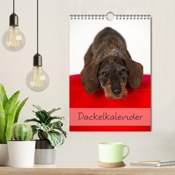 Produktbild: Dackel (Wandkalender 2026 DIN A4 hoch), CALVENDO Monatskalender