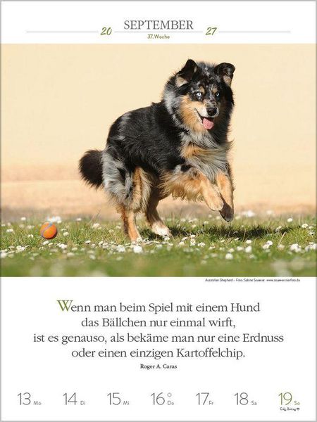 Produktbild: Literaturkalender Hunde 2027