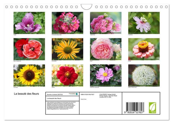 Produktbild: La beaut&eacute; des fleurs (Calendrier mural 2026 DIN A4 vertical), CALVENDO calendrier mensuel