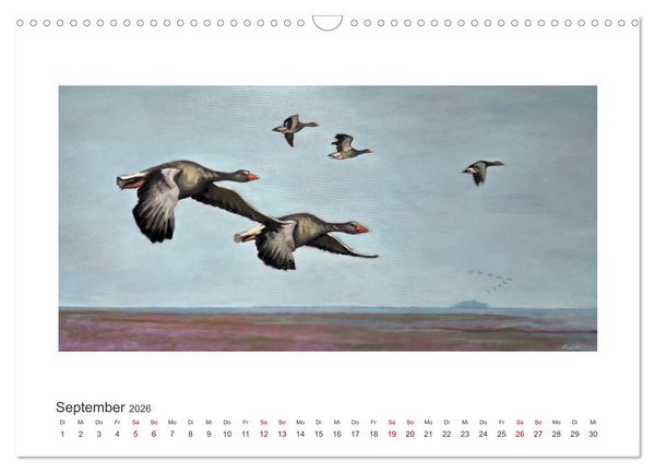Produktbild: Auf leichten Schwingen - Zugv&ouml;gel (Wandkalender 2026 DIN A3 quer), CALVENDO Monatskalender
