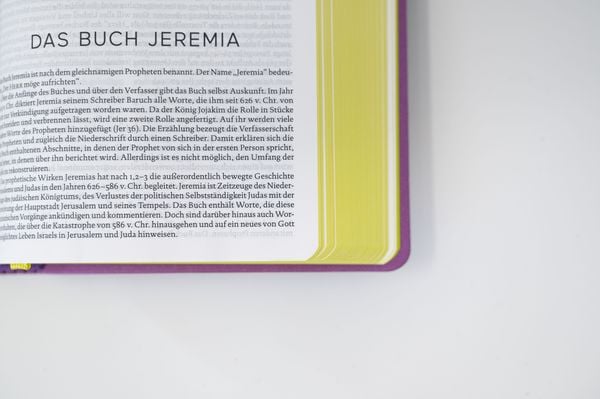 Produktbild: Die Bibel. Senfkorn, Handschmeichler lila