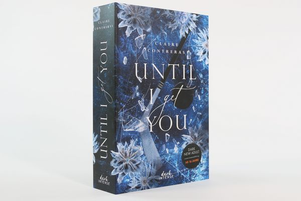 Produktbild: Until I Get You (Fairview Hockey, Band 1)