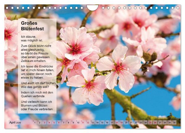Produktbild: Im Rhythmus der Jahreszeiten und des Kirchenjahres (Wandkalender 2026 DIN A4 quer), CALVENDO Monatskalender