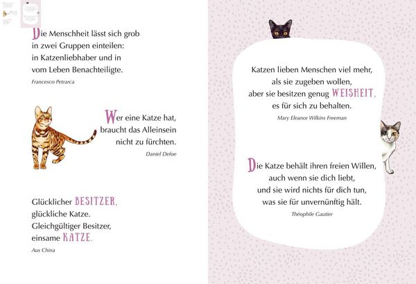 Produktbild: MIAU! - Engel auf Samtpfoten
