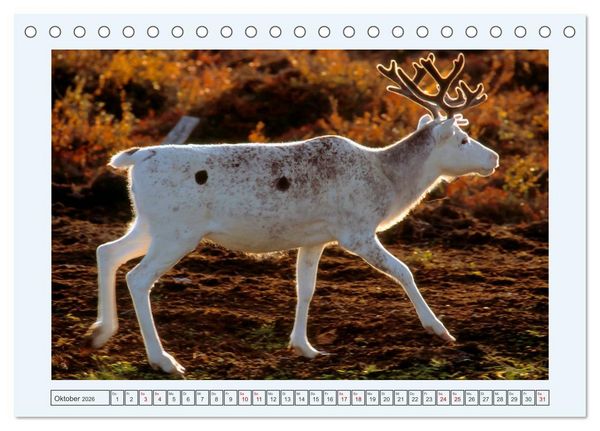 Produktbild: Faszination Finnland (Tischkalender 2026 DIN A5 quer), CALVENDO Monatskalender