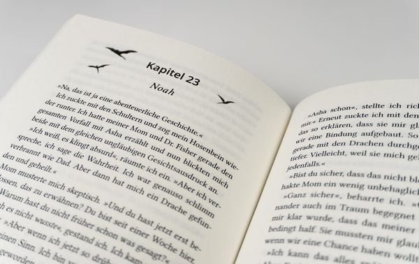 Produktbild: New Dragon City &ndash; Ein Junge. Ein Drache. Eine verbotene Freundschaft