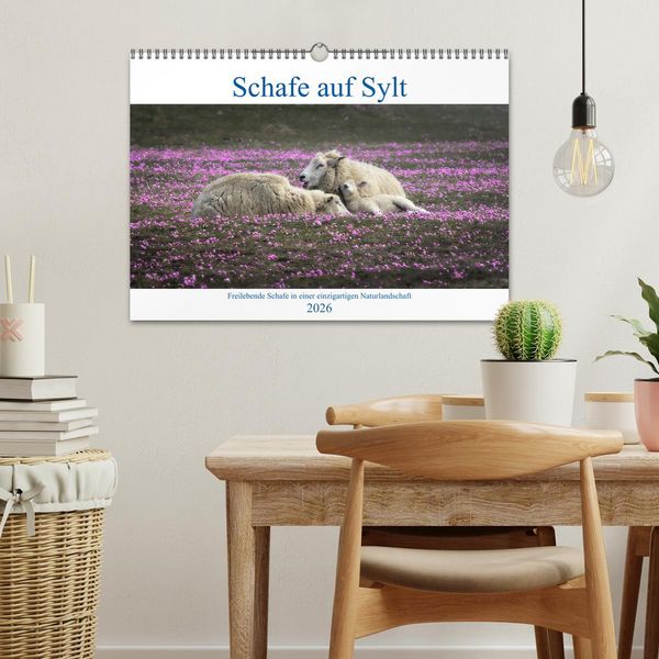 Produktbild: Schafe auf Sylt (Wandkalender 2026 DIN A3 quer), CALVENDO Monatskalender