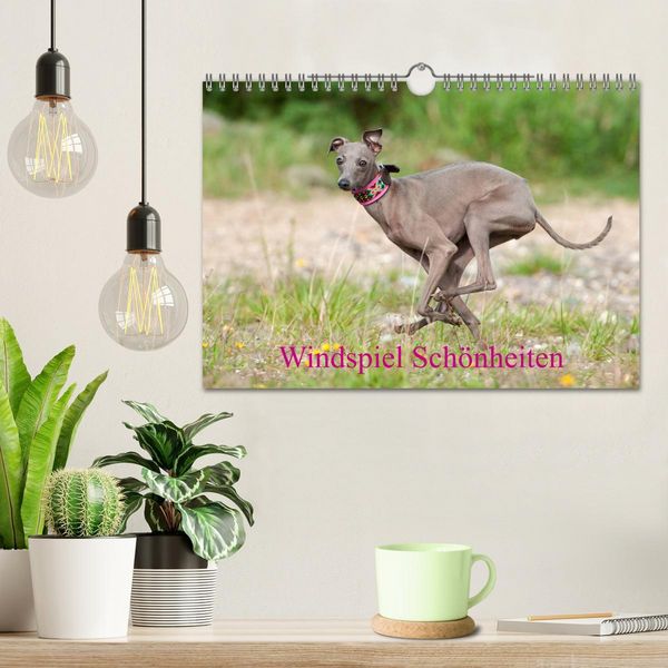 Produktbild: Windspiel Sch&ouml;nheiten (Wandkalender 2026 DIN A4 quer), CALVENDO Monatskalender