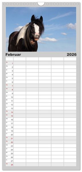 Produktbild: Familienplaner 2026 - Pferde - im Galopp durch's Jahr mit 5 Spalten (Wandkalender, 21 x 45 cm) CALVENDO