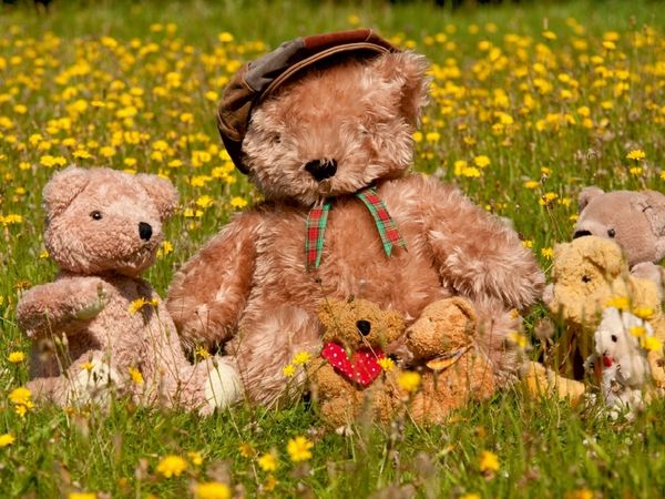 Produktbild: CALVENDO Puzzle Familienausflug | 1000 Teile Lege-Gr&ouml;&szlig;e 64x48cm Foto-Puzzle f&uuml;r gl&uuml;ckliche Stunden