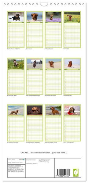 Produktbild: Familienplaner 2026 - DACKEL... wissen was sie wollen... (und was nicht...) mit 5 Spalten (Wandkalender, 21 x 45 cm) CALVENDO