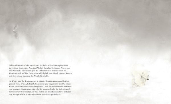 Produktbild: Der Eisb&auml;r