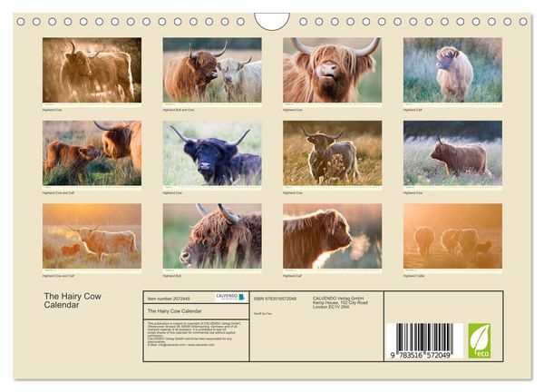 Produktbild: The Hairy Cow Calendar (Wall Calendar 2026 DIN A4 landscape), CALVENDO 12 Month Wall Calendar