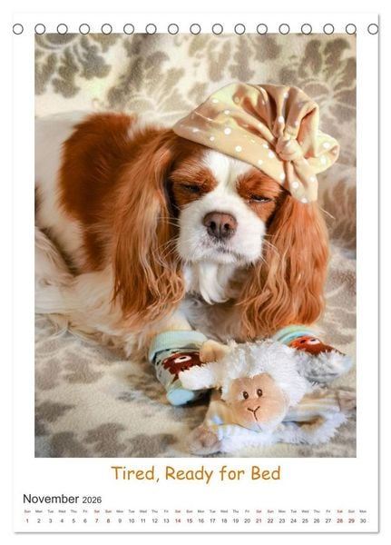 Produktbild: The Adventurous Life of two Daring Cavaliers (Desk Calendar 2026 DIN A5 portrait), CALVENDO 12 Month DeskCalendar