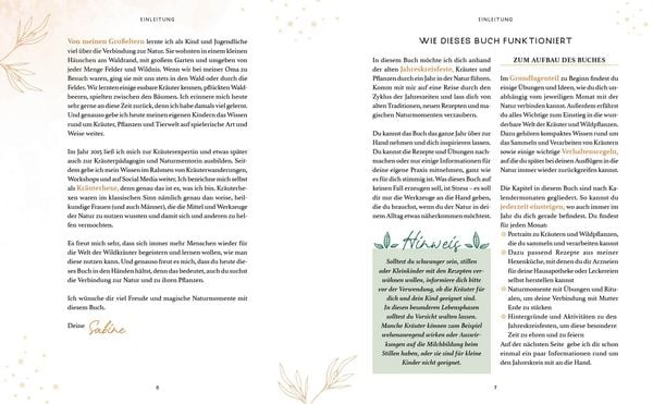 Produktbild: Zaubernuss und Waldmagie &ndash; Naturmomente f&uuml;r deine Seele