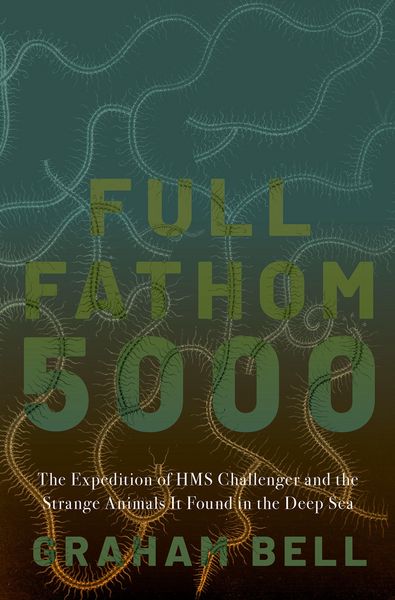 Produktbild: Full Fathom 5000