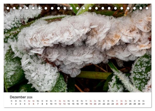 Produktbild: Bergell - Bregaglia Impressionen (Tischkalender 2026 DIN A5 quer), CALVENDO Monatskalender