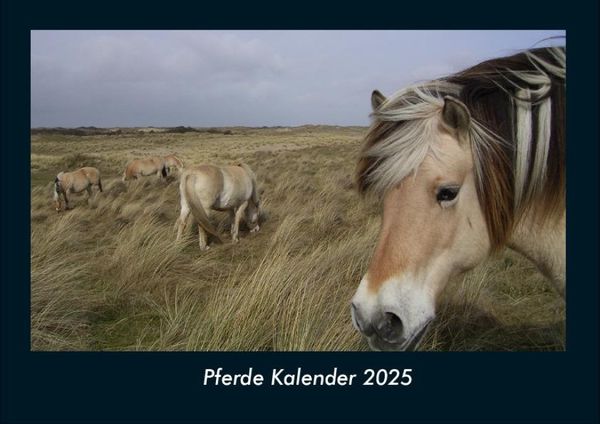Produktbild: Pferde Kalender 2025 Fotokalender DIN A4