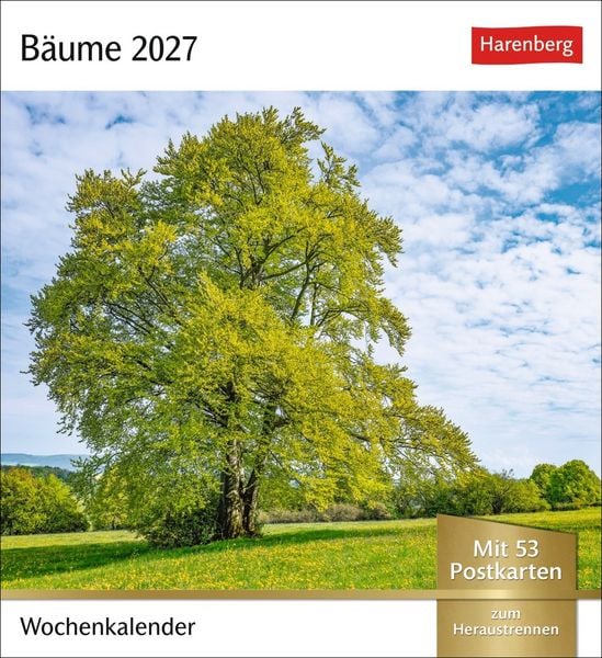 Produktbild: B&auml;ume Postkartenkalender 2027 - Wochenkalender mit 53 Postkarten